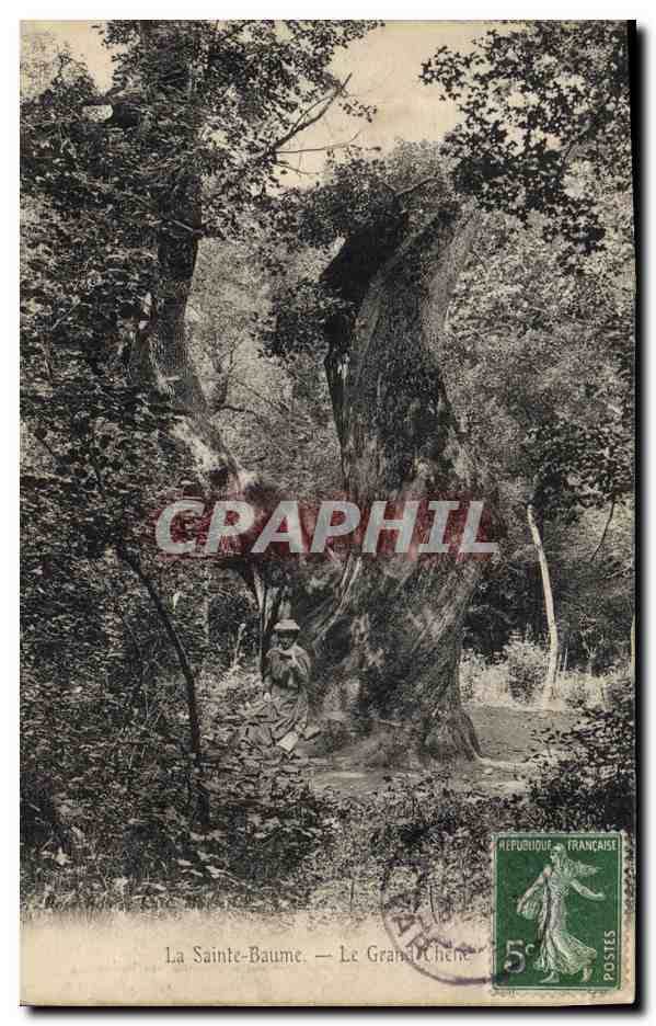 CPA Arbre La Sainte Baume Le grand chene