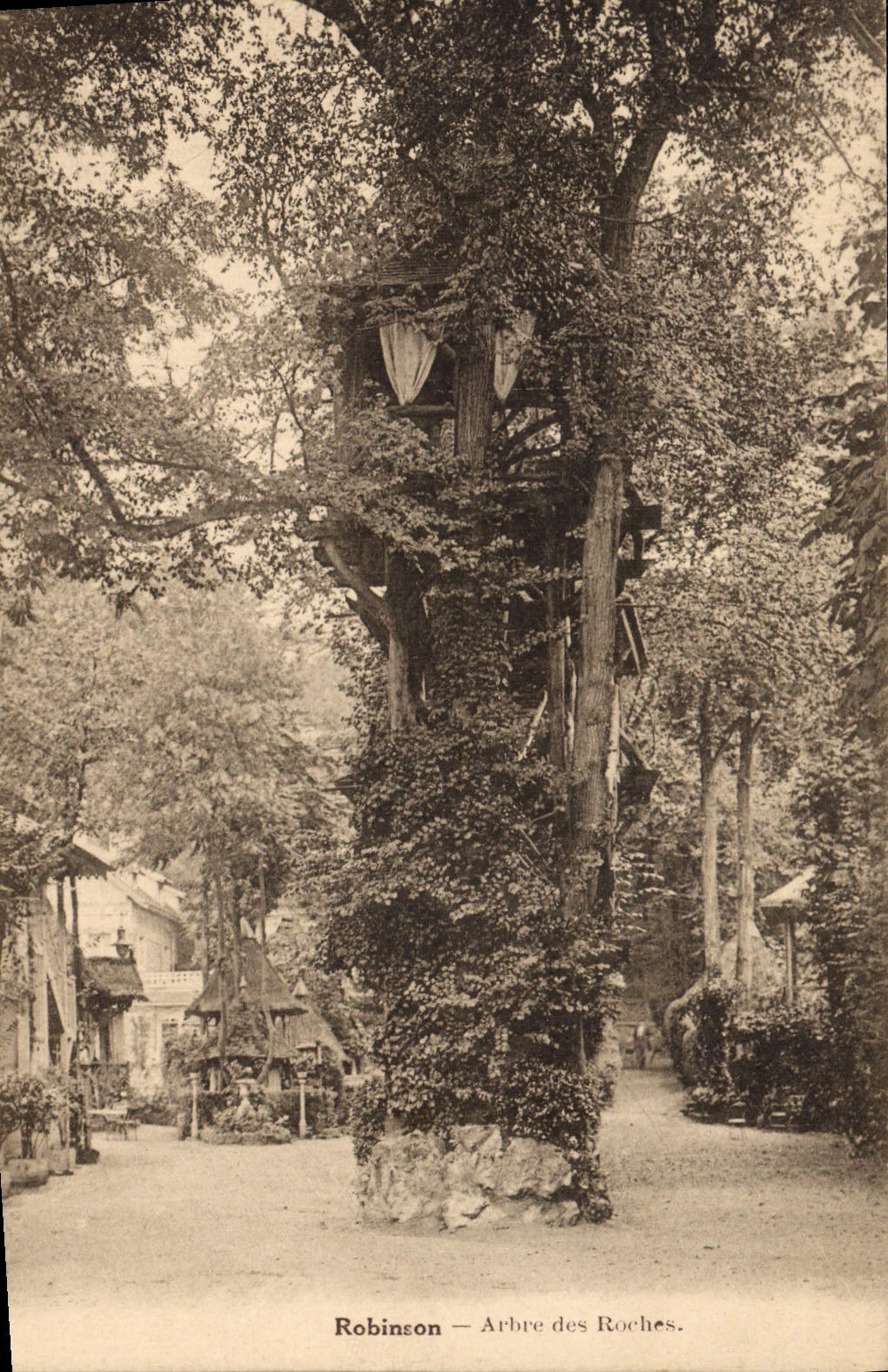 CPA Arbre Robinson Arbre des roches