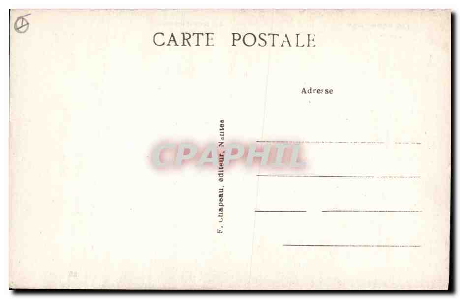 CPA Arbre Pornichet Au bois d'amour Les pins — Verso