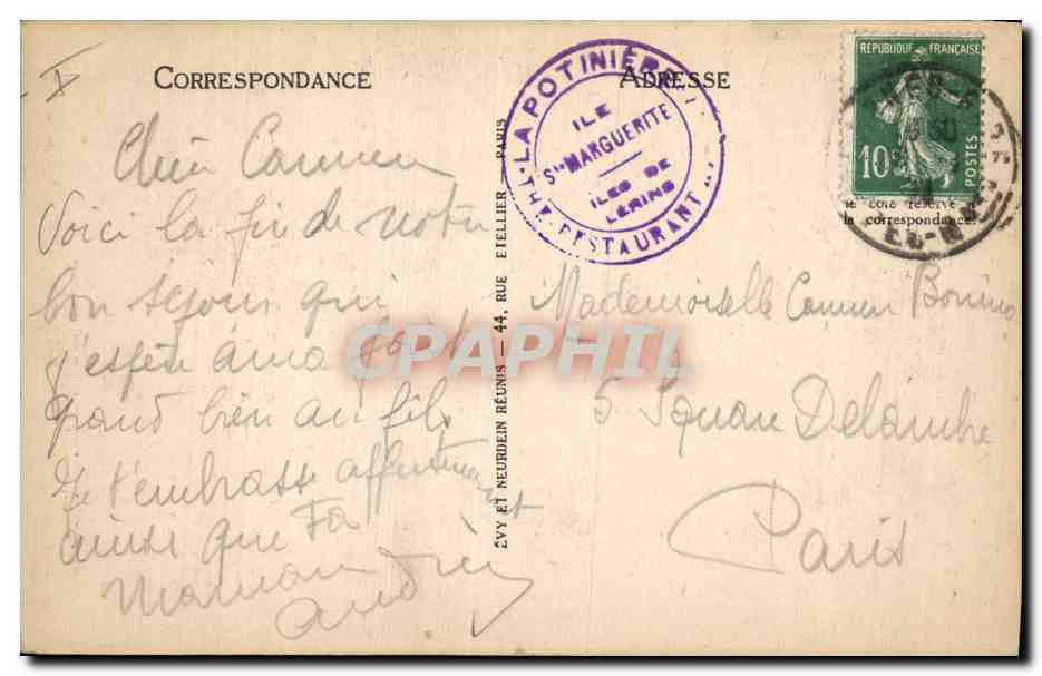 CPA Arbre Ile Sainte Marguerite Allee des Eucalyptus — Verso