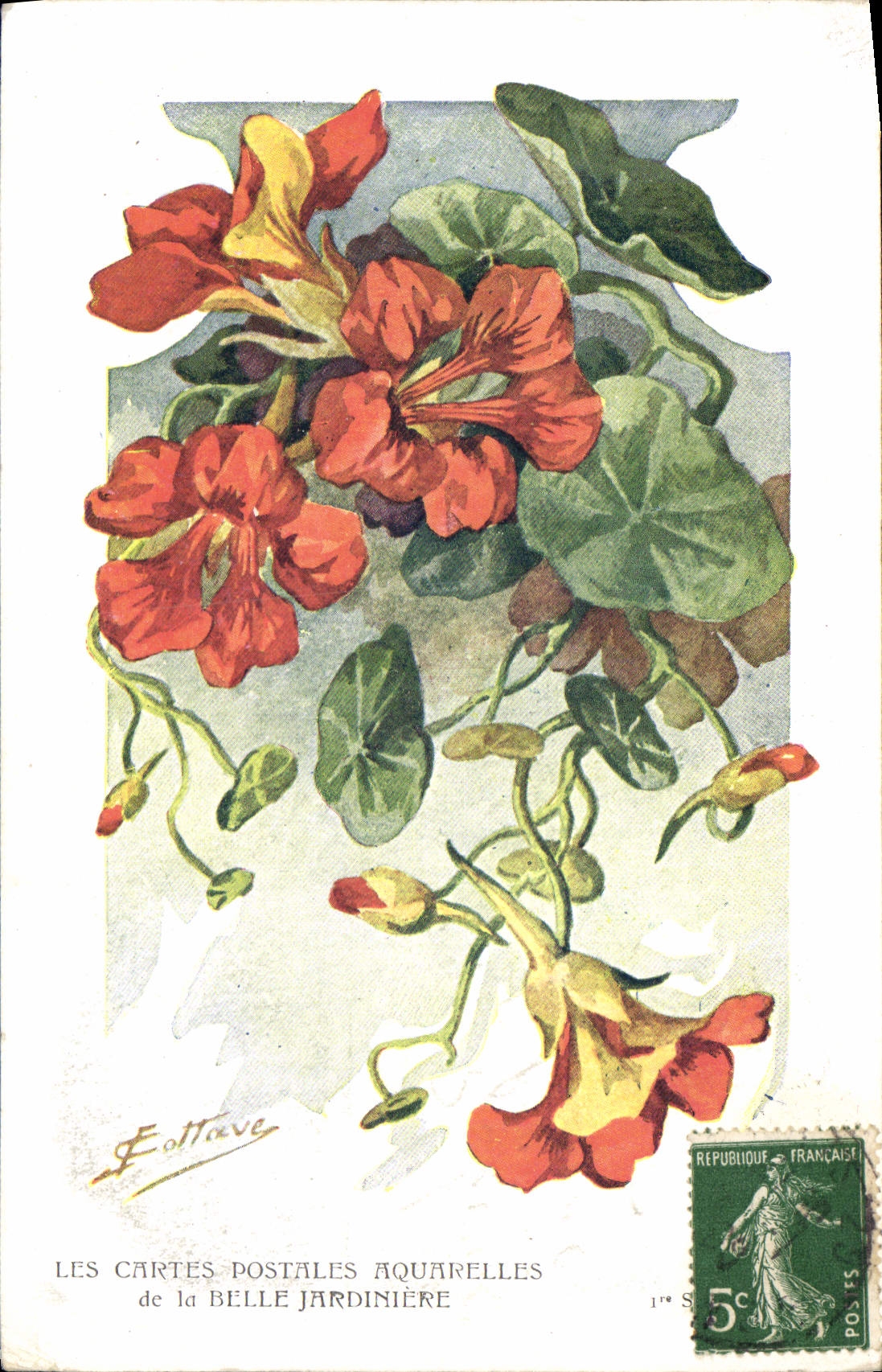 Nasturtiums — illustration aquarelle — F. Ottave, 1ère série