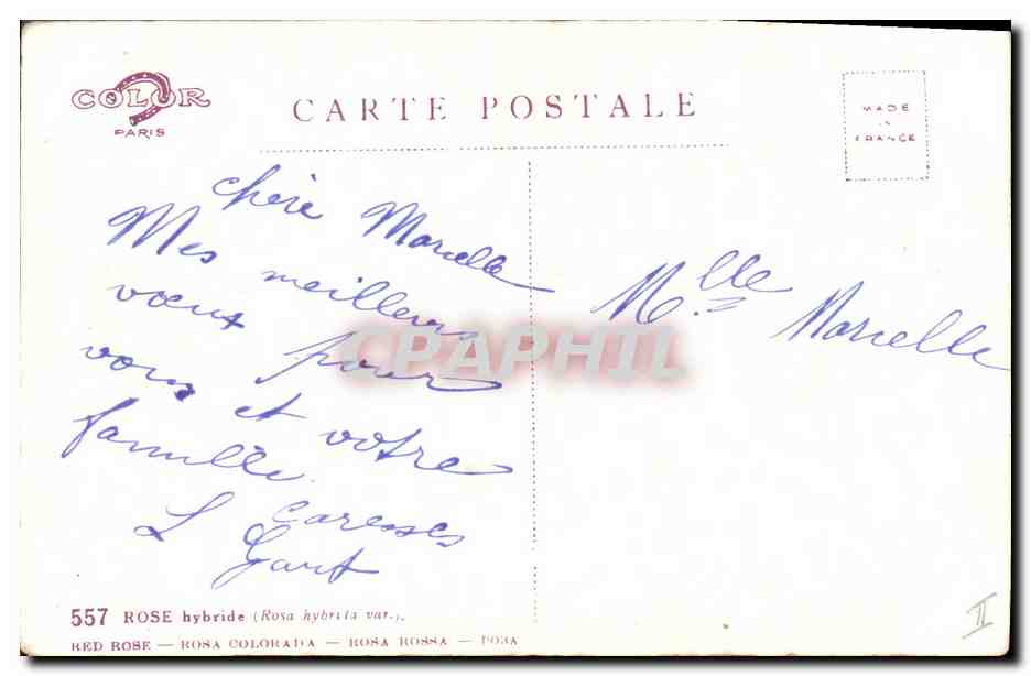 CPA Fantaisie Fleurs  — Rückseite