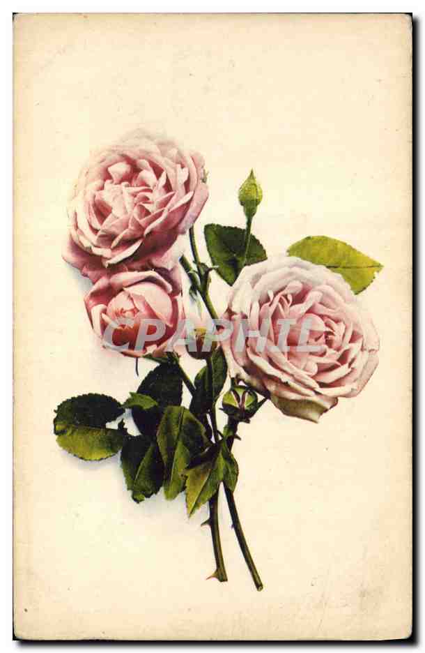 CPA Fantaisie Fleurs 