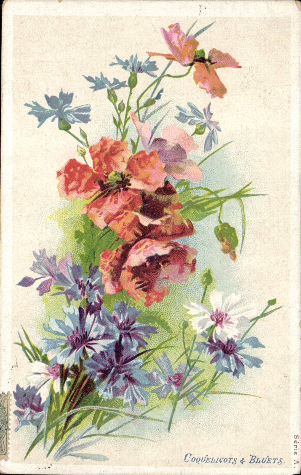 CPA Fantaisie Fleurs Coquelicots & Bluets