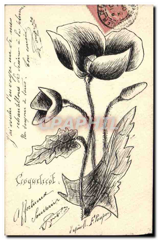 Fior di papavero — disegno a inchiostro — editore H. F. Poupou
