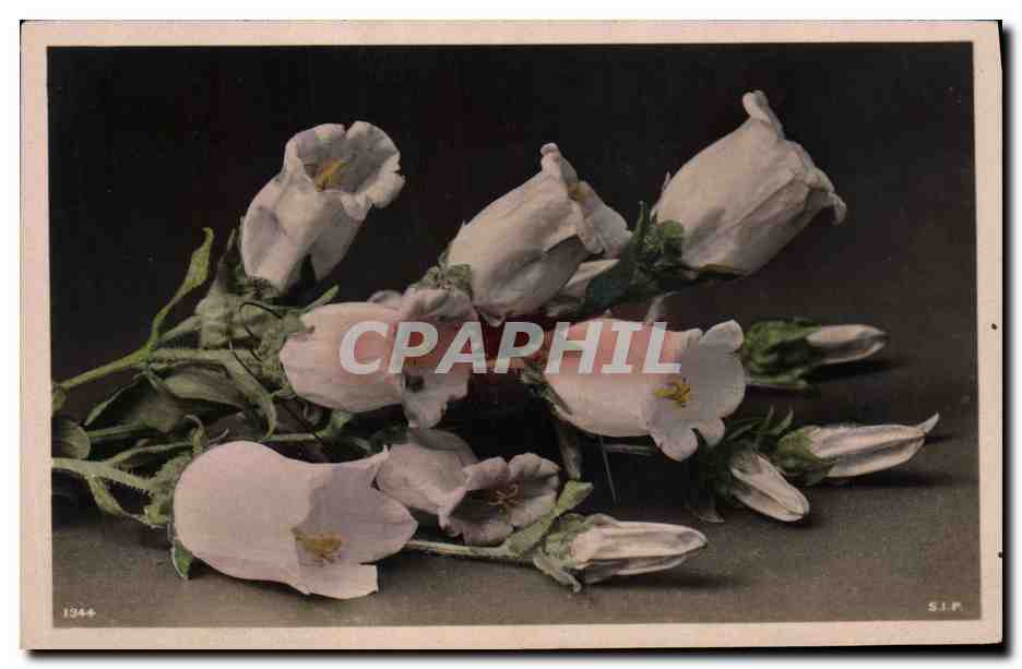 CPA Fantaisie Fleurs 