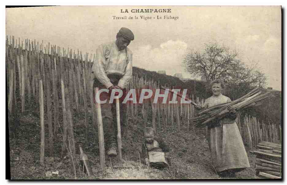 CPA Folklore Vin Vignobles Champagne Travail de la Vigne Le fichage TOP
