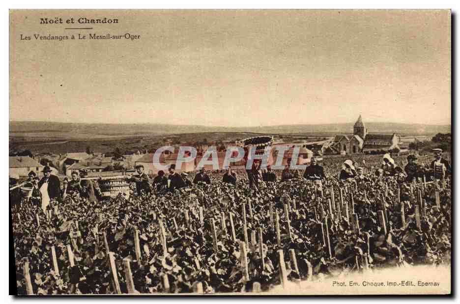 Les Vendanges à Le Mesnil-sur-Oger — Moët et Chandon — Phot. Em. Choque, Imp. Edit. Epernay