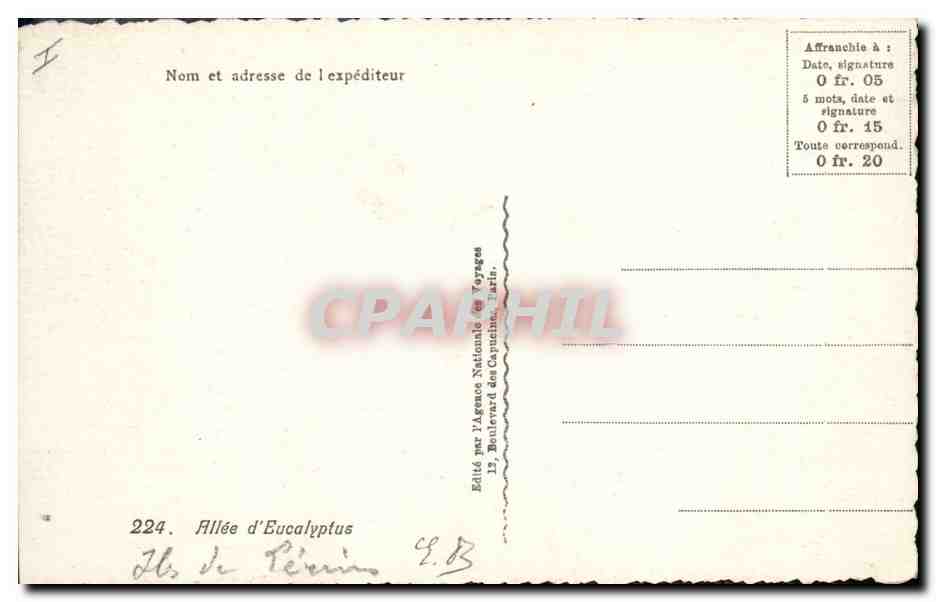 CPA Arbre Allee d'eucalyptus  — Verso