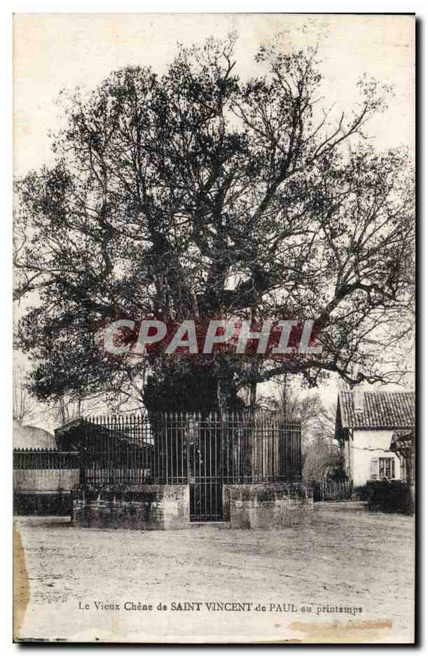 CPA Arbre Le vieux chene de Saint Vincent de Paul au printemps