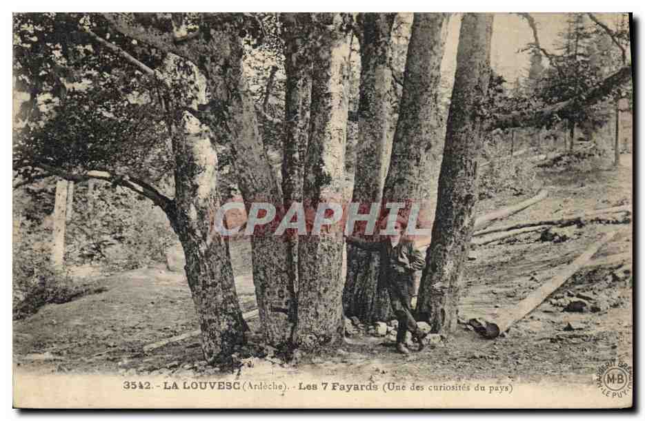 CPA Arbre La Louvesc Les 7 fayards 