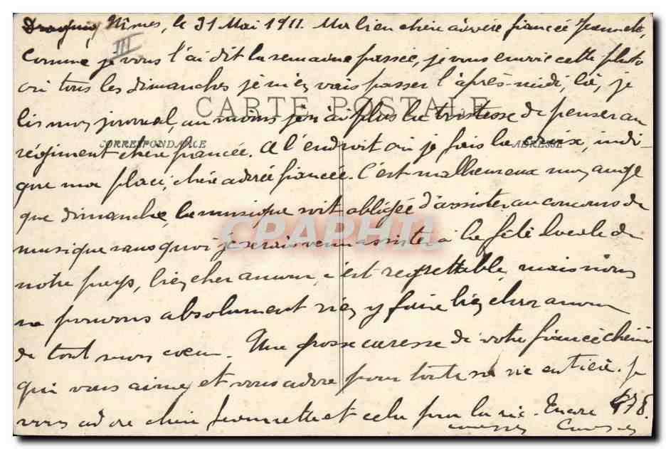 CPA Arbre Nimes Le grand cedre  — Verso