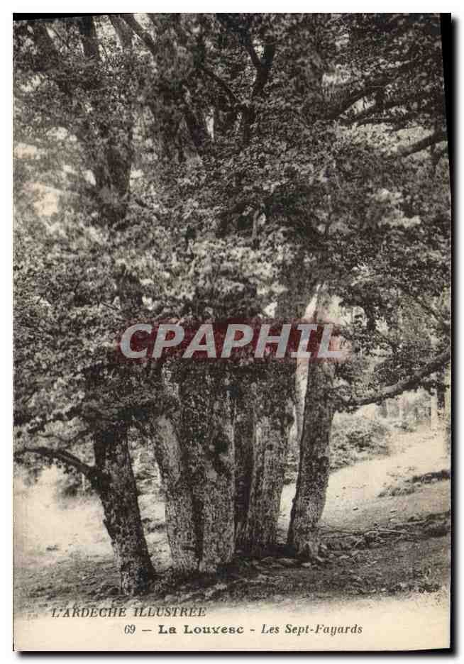 CPA Arbre La Louvesc Les Sept Fayards