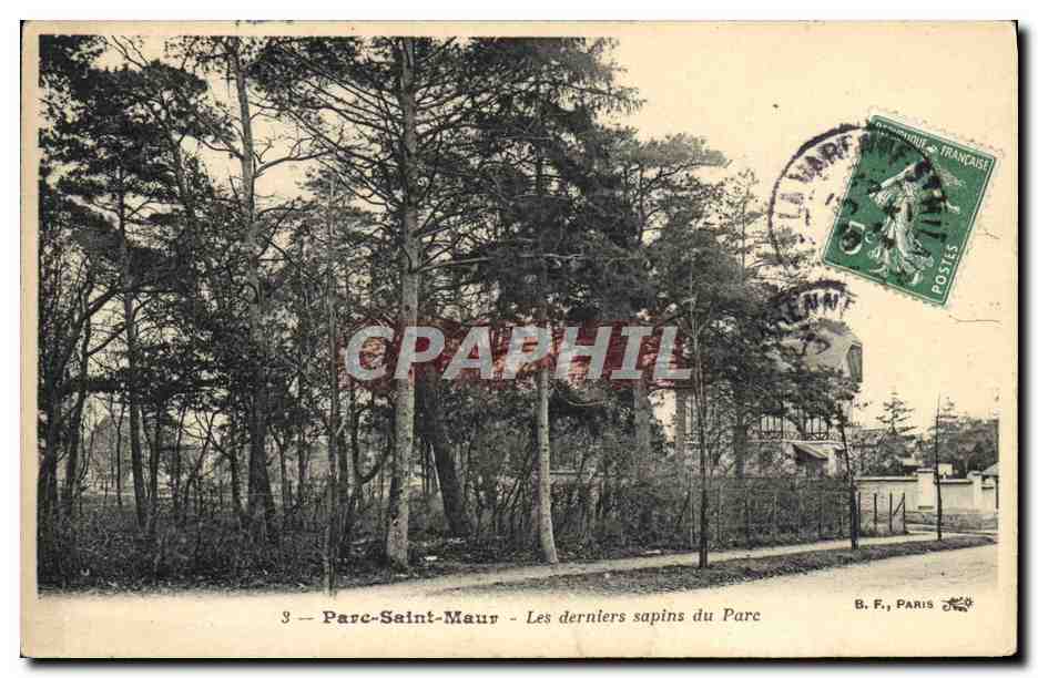CPA Arbre Parc Saint Maur Les derniers sapins du parc