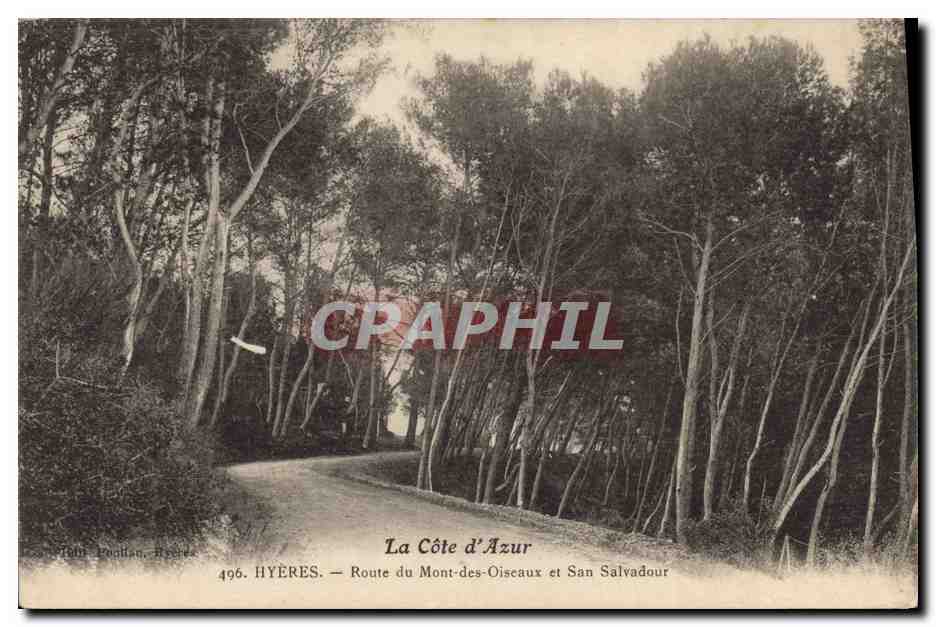 CPA Arbre Hyeres Route du Mont des Oiseaux et San Salvadour