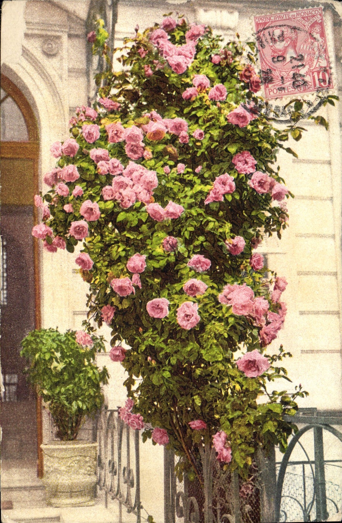 CPA Fantaisie Fleurs Rosier 