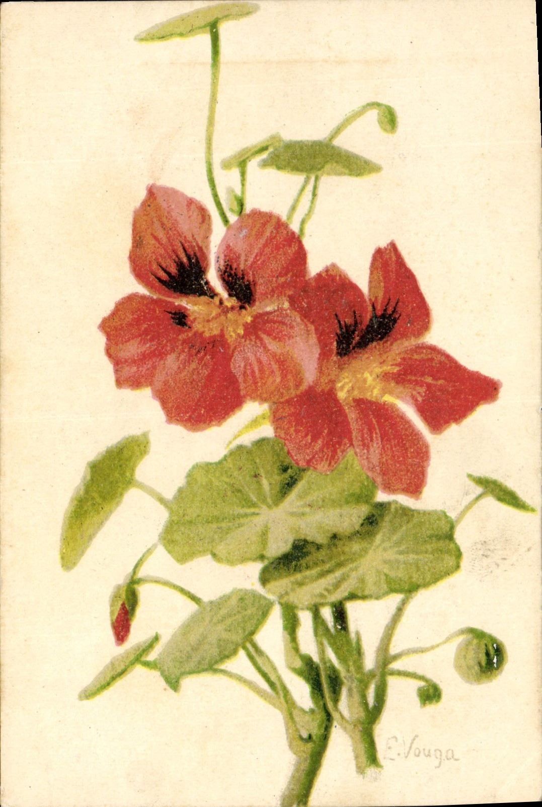 CPA Fantaisie Fleurs 