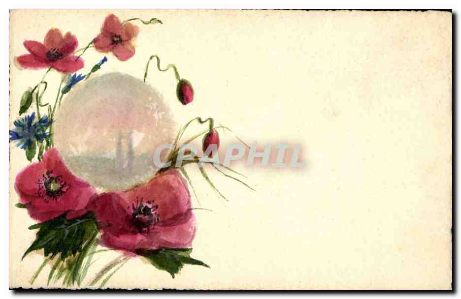 Fleurs de pavot — illustration à l'aquarelle — éditeur inconnu