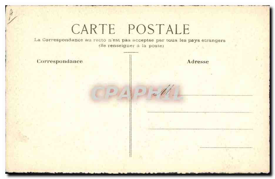 Fleurs de pavot — illustration à l'aquarelle — éditeur inconnu — Verso