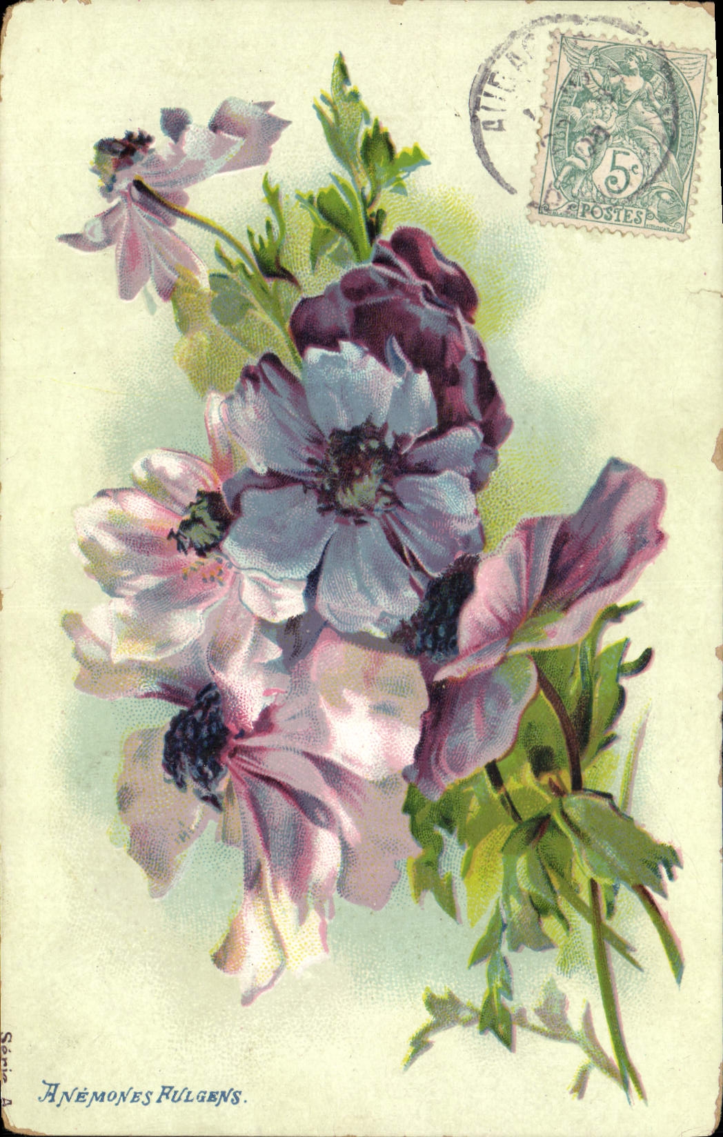 CPA Fantaisie Fleurs Anemones blanches 