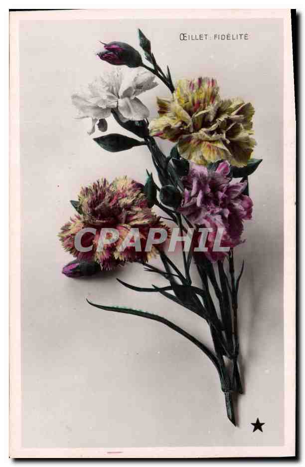 CPA Fantaisie Fleurs Oeillet fidelite 