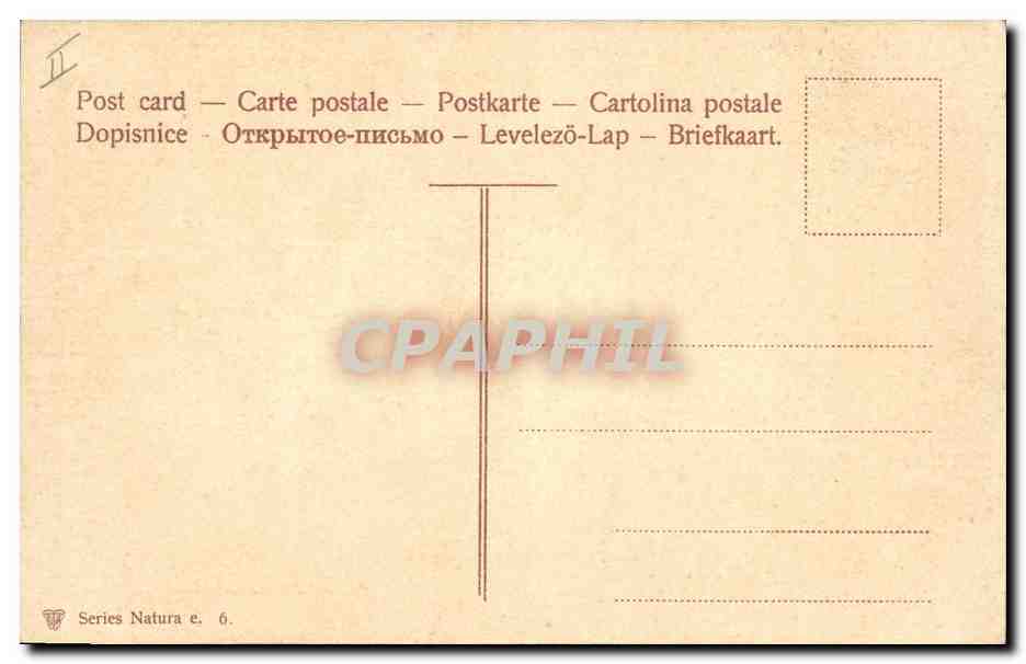 CPA Fantaisie Fleurs  — Rückseite