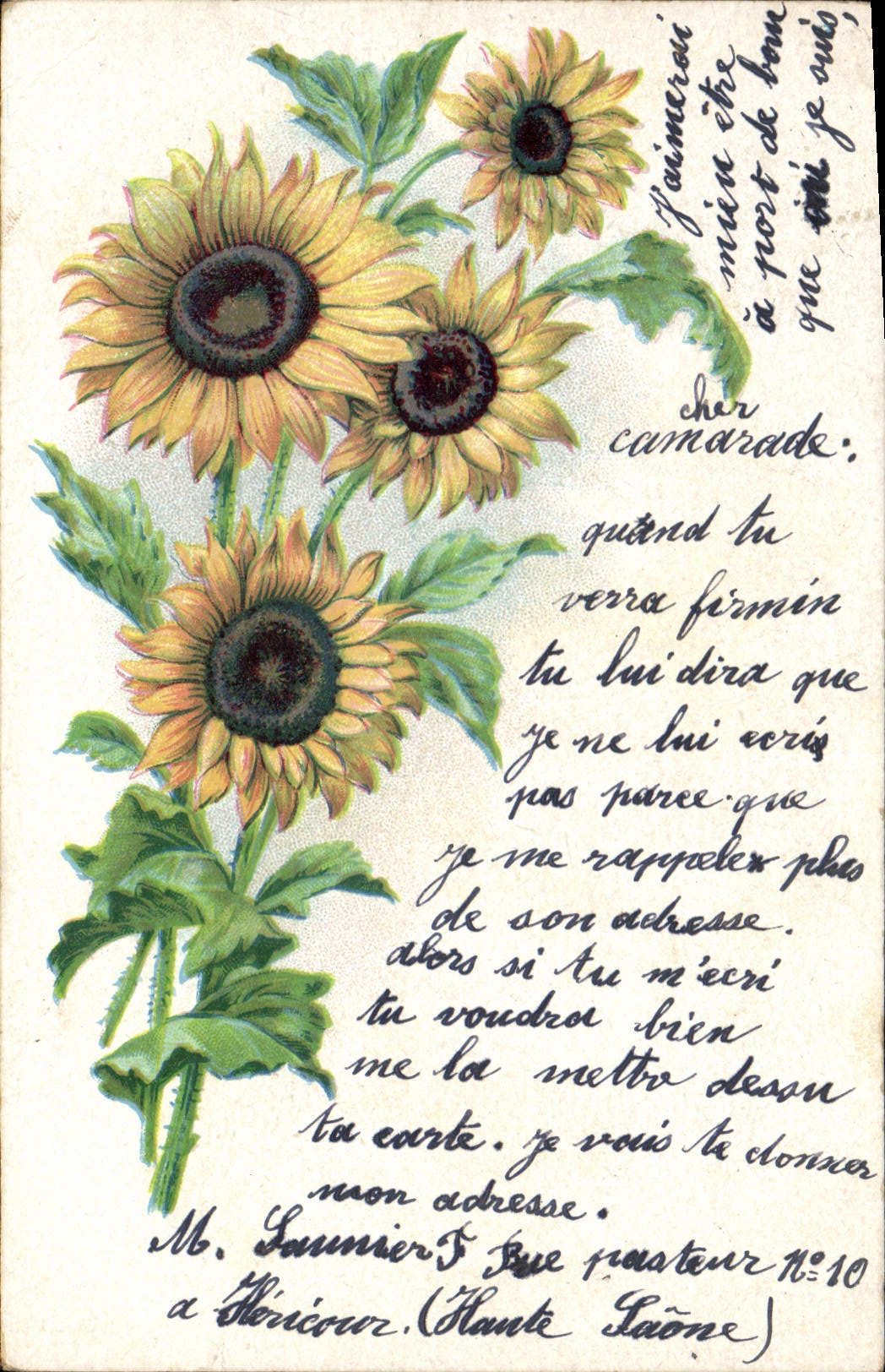 CPA Fantaisie Fleurs 