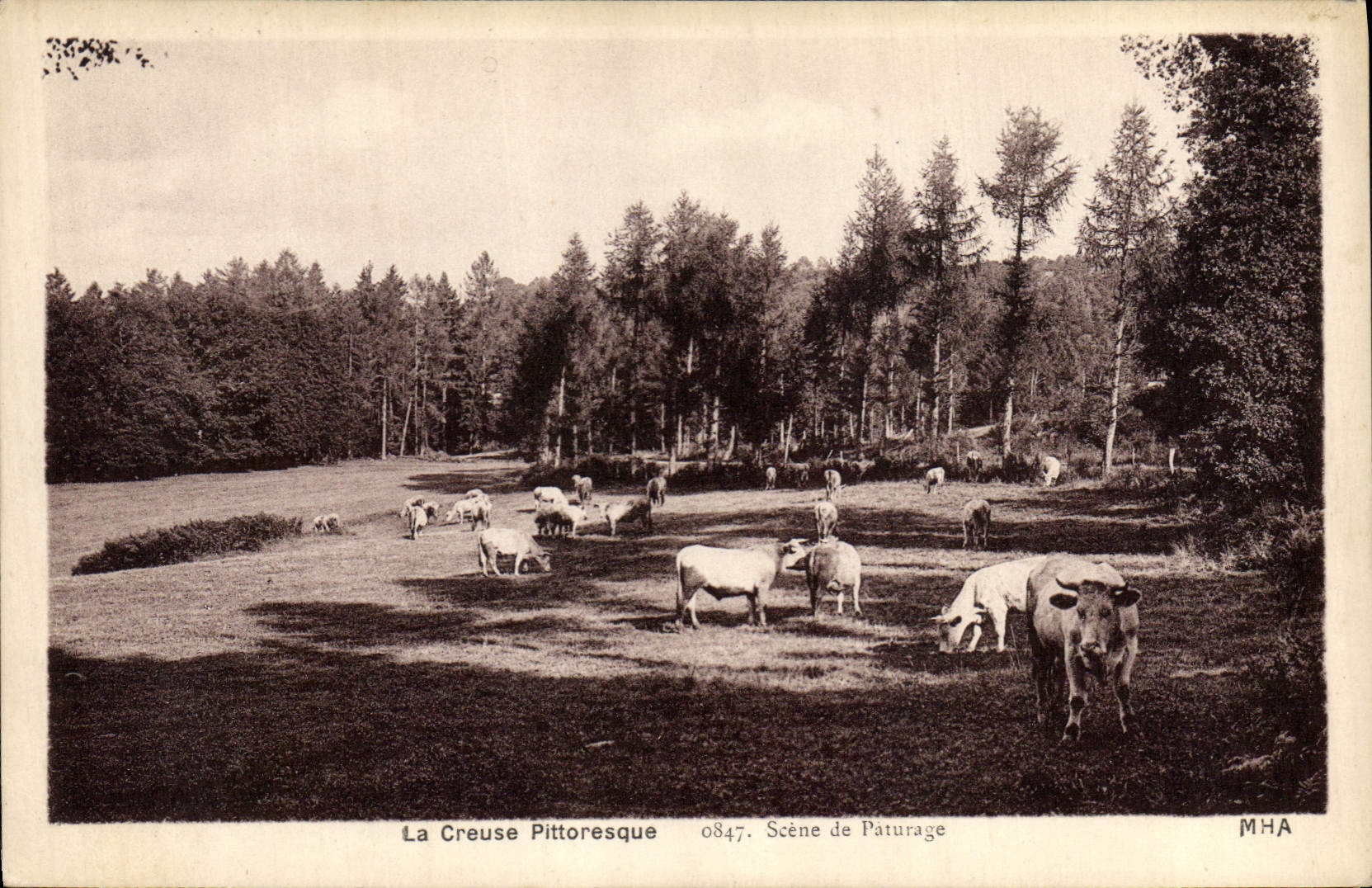 CPA Folklore Creuse Scene de paturage Vaches 