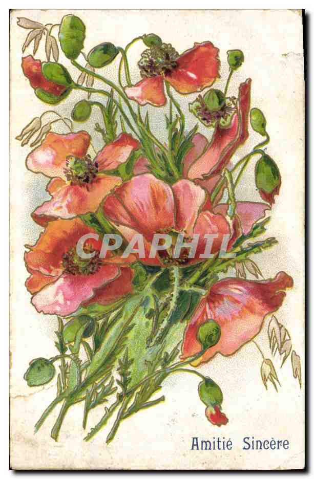 CPA Fantaisie Fleurs 
