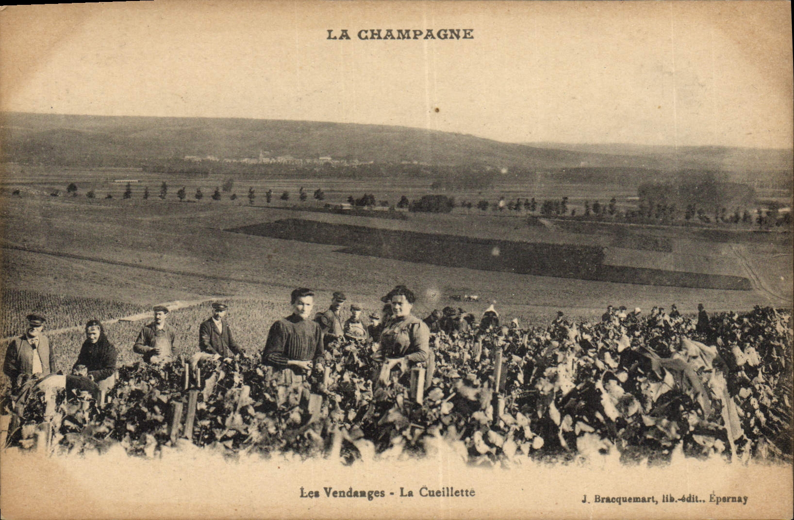 CPA Folklore Vin Vendange Champagne La cueillette