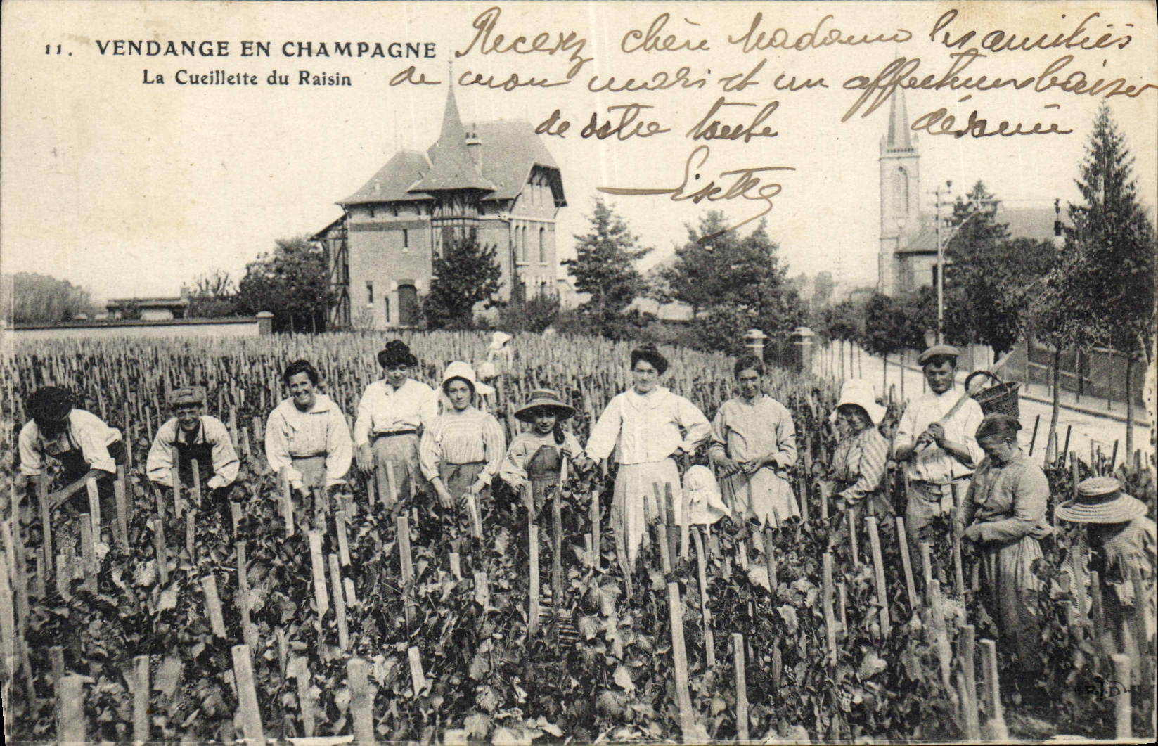 CPA Folklore Vin Vendange Champagne La cueillette du raisin TOP