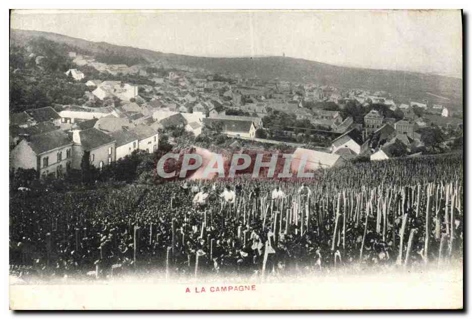 CPA Folklore Vin Vendange Champagne A la campagne