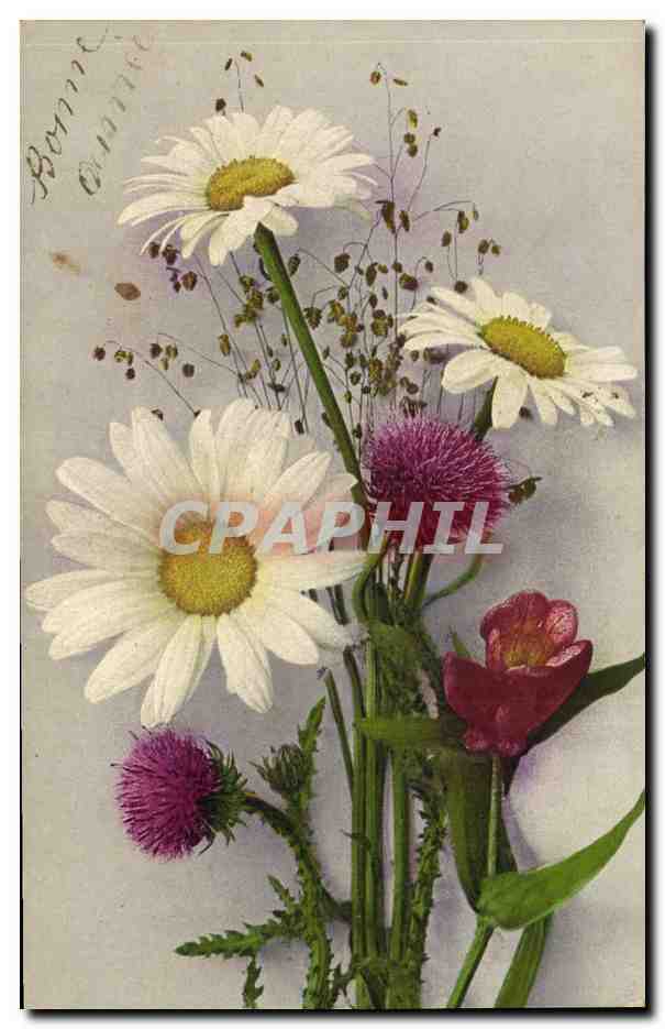 CPA Fantaisie Fleurs 