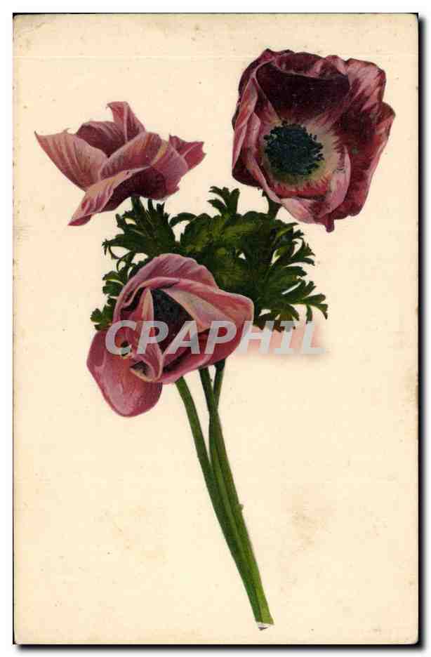 CPA Fantaisie Fleurs 