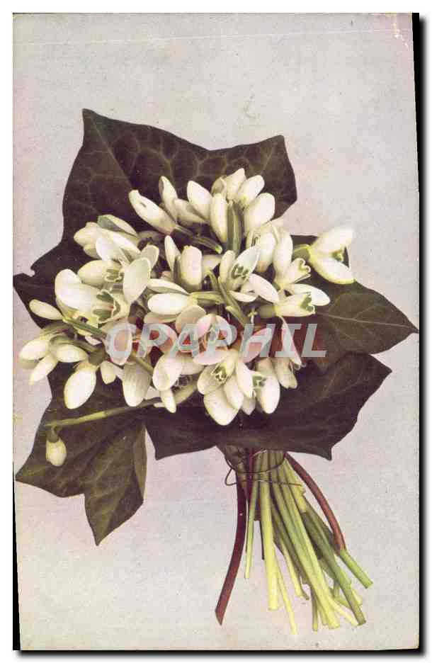 CPA Fantaisie Fleurs 