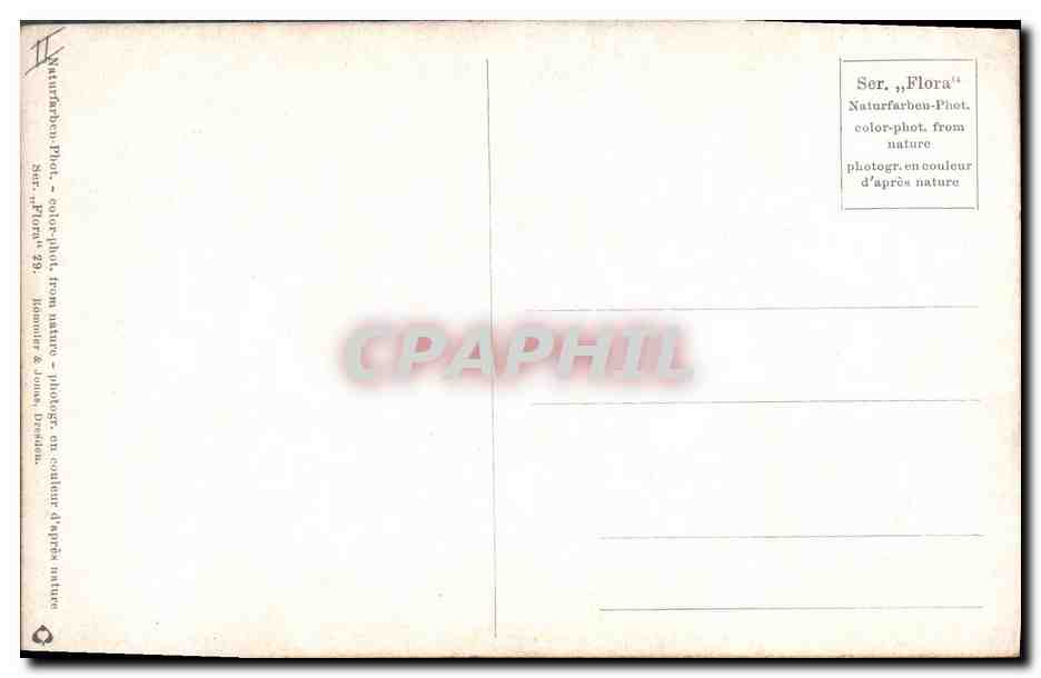 CPA Fantaisie Fleurs  — Rückseite