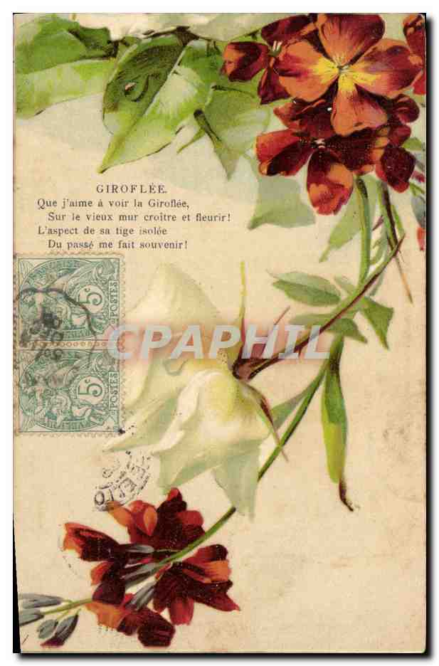 CPA Fantaisie Fleurs Giroflee 