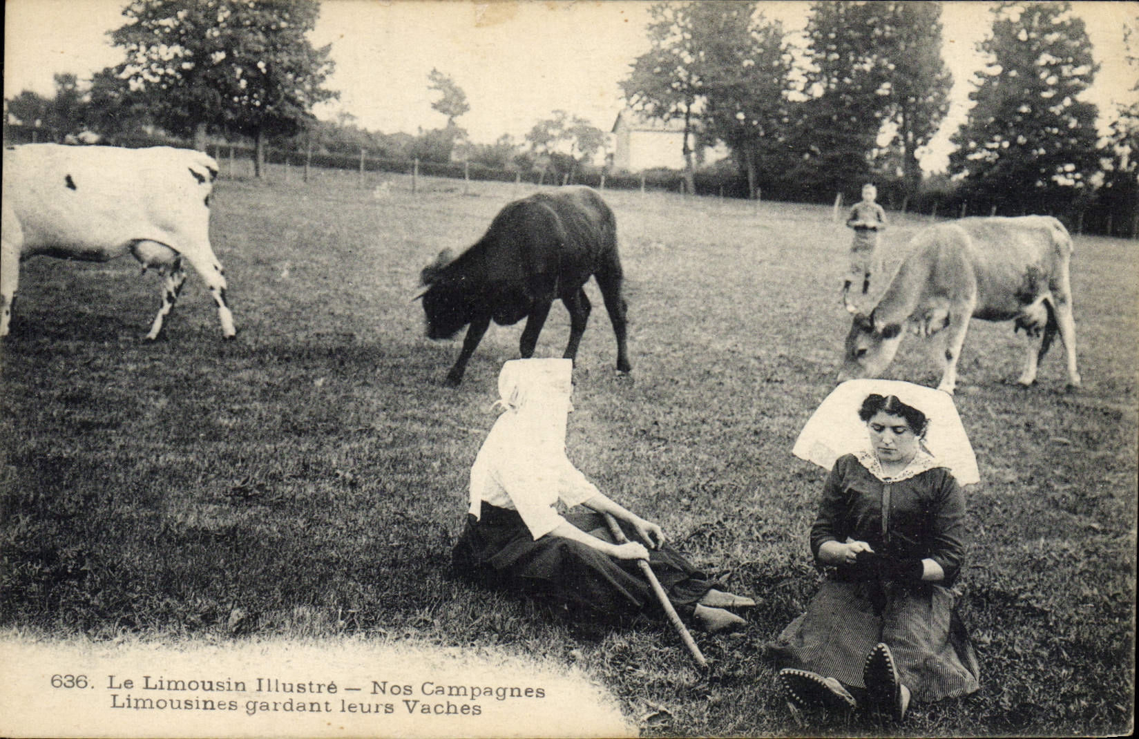 CPA Folklore Limousin Limousines gardant leurs vaches 