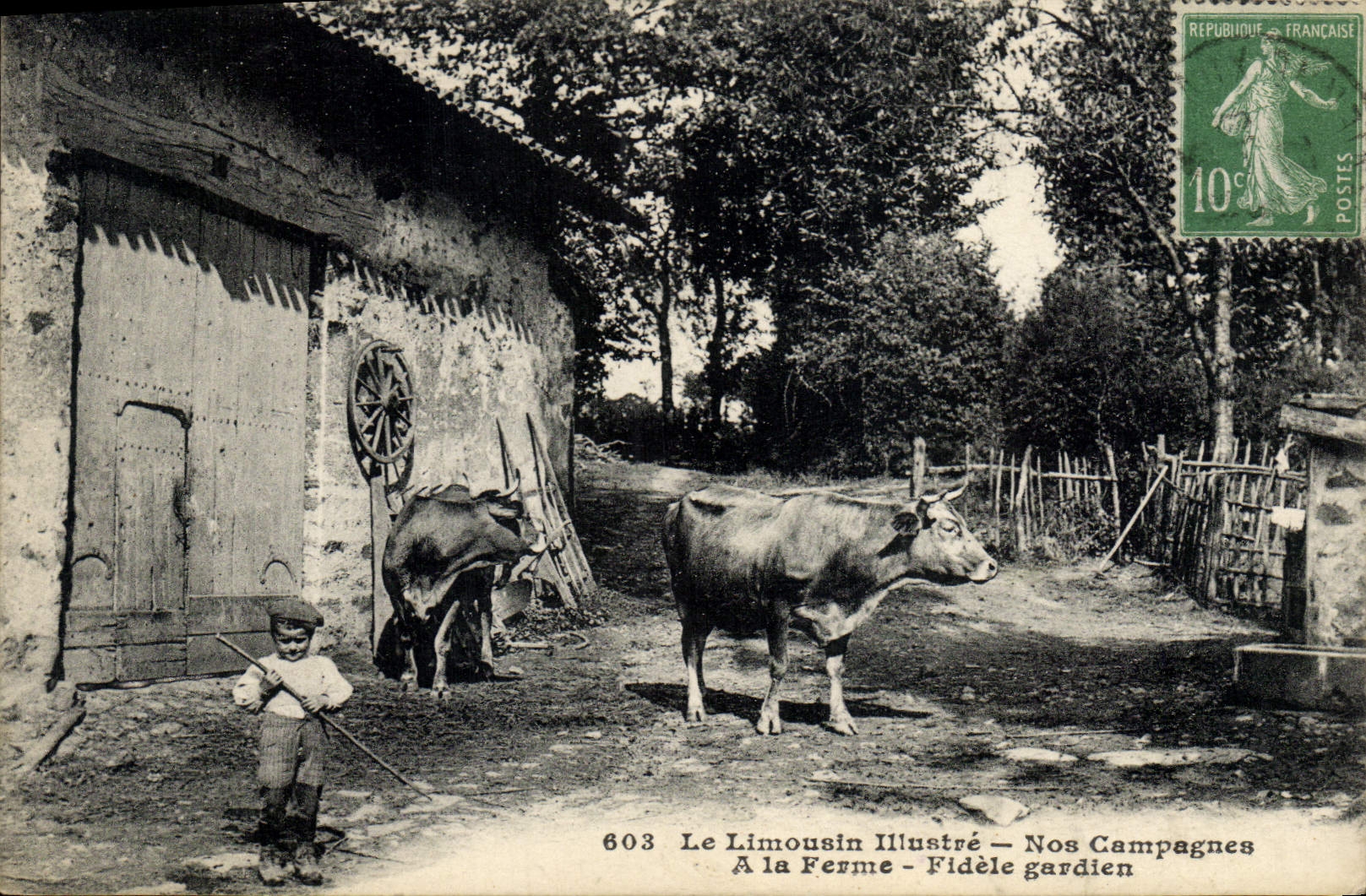 CPA Folklore Limousin A la ferme Fidele gardien Vache Enfant