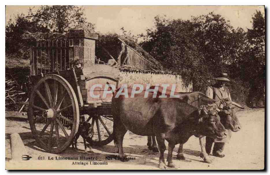 CPA Folklore Limousin Attelage Limousin Boeufs 
