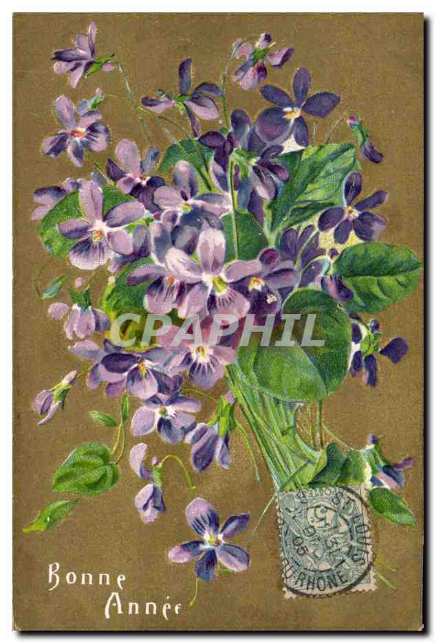 CPA Fantaisie Fleurs 