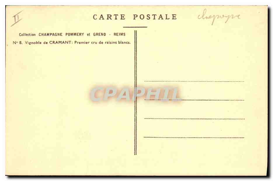 CPA Folklore Vigne Vin Vendanges Champagne Vignoble de Cramant Premier cru de raisins blancs — Rückseite