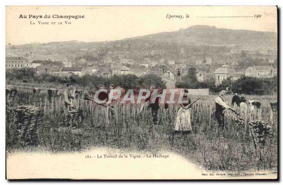 Epernay, le 190 — Le Travail de la Vigne. Le Hachage — Phot. Em. Chogue, Imp. Edil, Epernay (Déposé)
