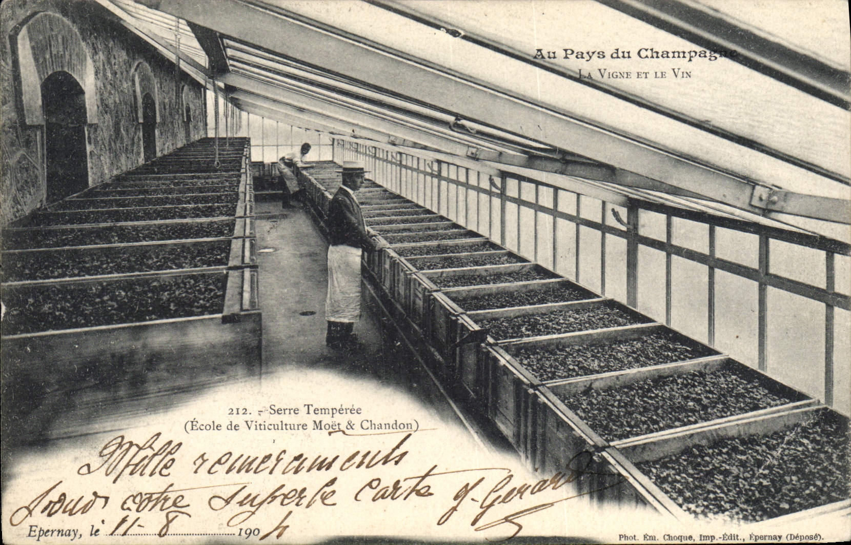 École de Viticulture Moët & Chandon — Serre Tempérée — Epernay