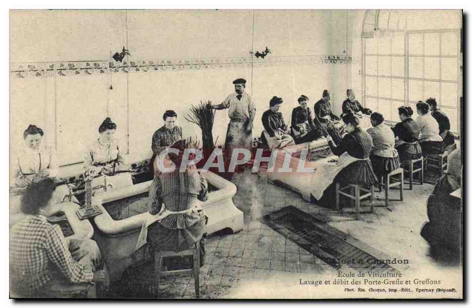 École de Viticulture — Lavage et débit des Porte-Greffes et Greffons — Éditeur : M. Choguet, Imp. & Édit. Kramay (Chépand)