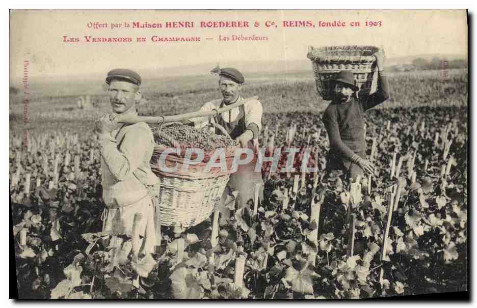 CPA Folklore Vigne Vin Vendanges Champagne Maison Henri Roederer et Co Reims Les debardeurs