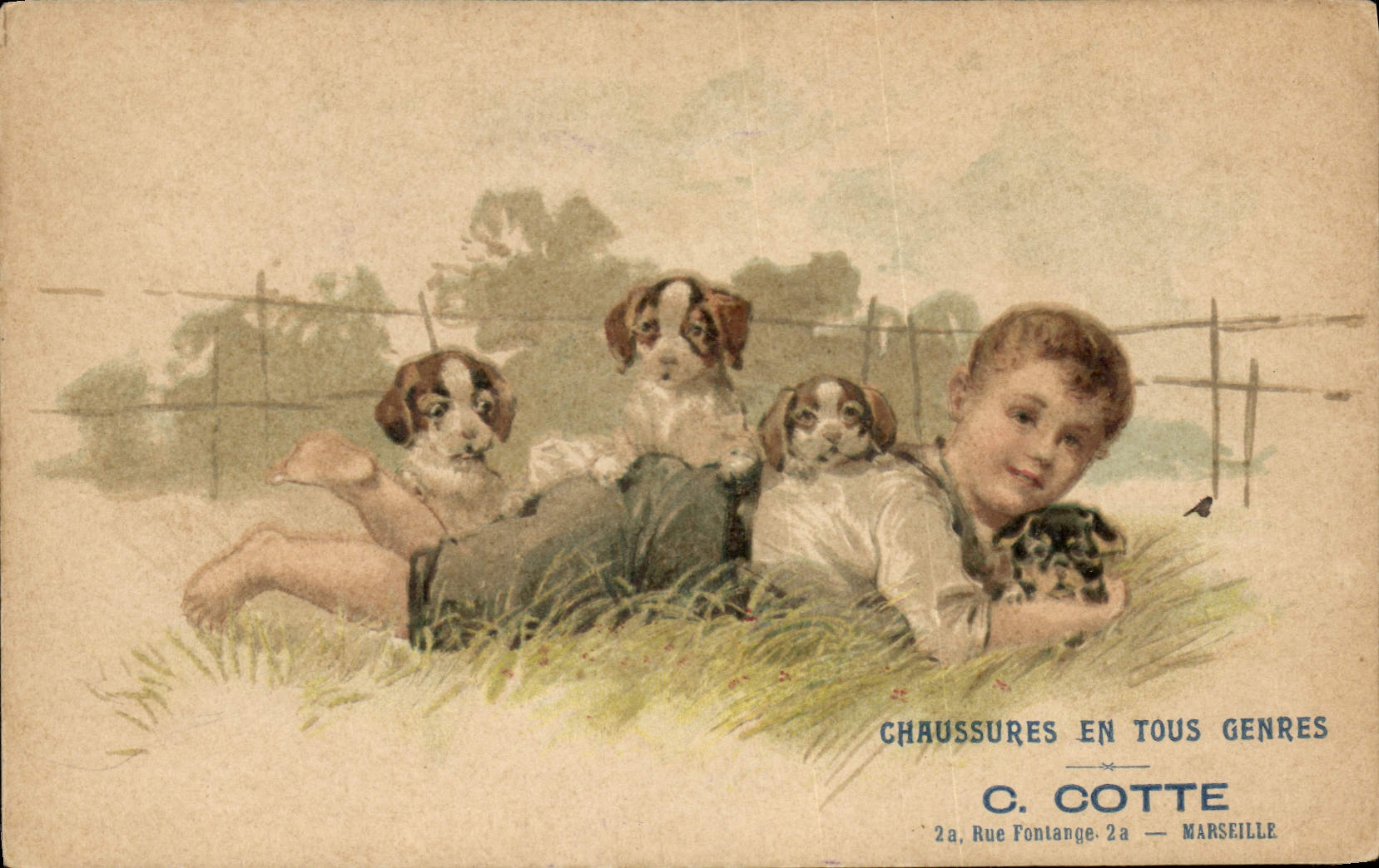 CPA Publicite Chaussures Cotte Rue Fontange Marseille Enfant Chiens Chien