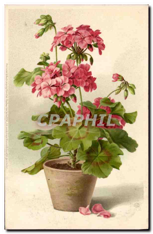 CPA Fantaisie Fleurs 