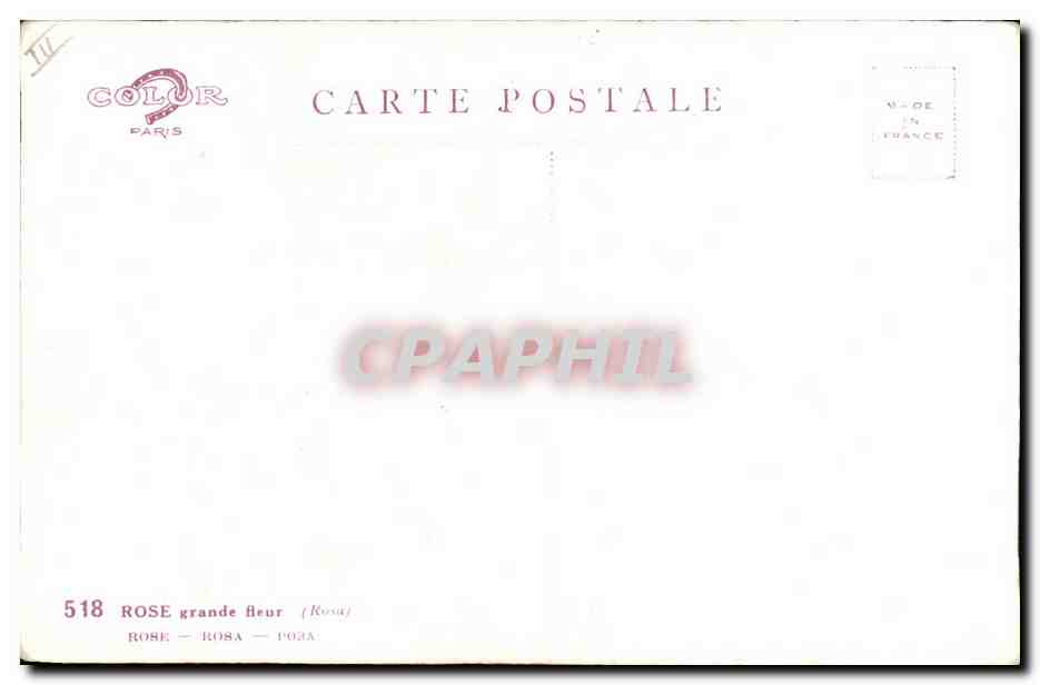 CPA Fantaisie Fleurs  — Verso