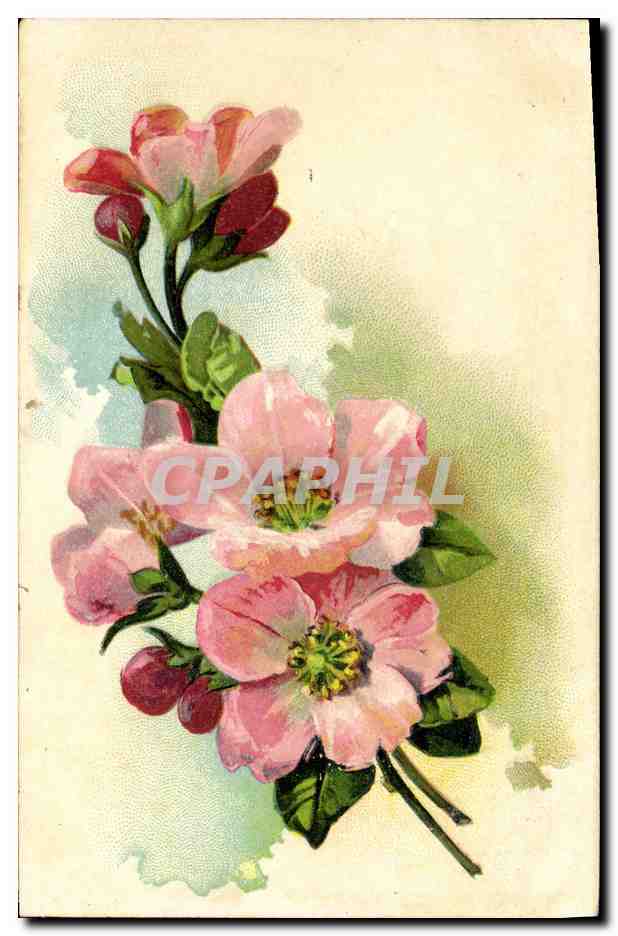 CPA Fantaisie Fleurs 